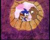 Filename=BestHedgehog_145.jpg
Filesize=59KiB
Dimensions=720x576
Date added=Jan 12, 2008 BestHedgehog_145.jpg