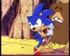 Filename=BestHedgehog_150.jpg
Filesize=60KiB
Dimensions=720x576
Date added=Jan 12, 2008 BestHedgehog_150.jpg
