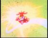 Filename=SlowGoing_146.jpg
Filesize=37KiB
Dimensions=720x576
Date added=Jan 03, 2008 SlowGoing_146.jpg
