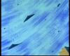 Filename=SlowGoing_173.jpg
Filesize=50KiB
Dimensions=720x576
Date added=Jan 03, 2008 SlowGoing_173.jpg
