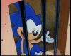 Filename=SonicsSong_176.jpg
Filesize=52KiB
Dimensions=720x576
Date added=Jan 10, 2008 SonicsSong_176.jpg