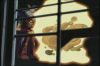 WhoDoYou161.jpg