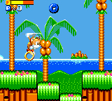 1) Training Zone (Emerald Hill Zone)